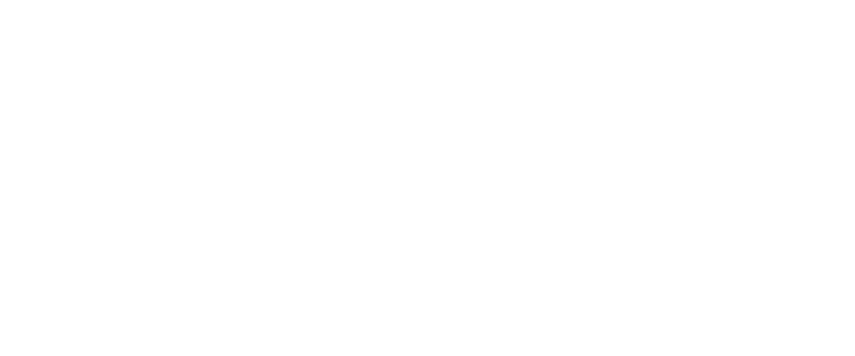 Stemi logo